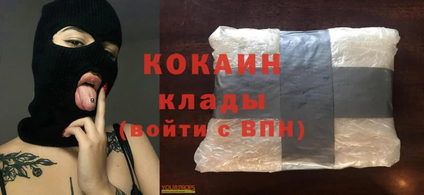 шишки Михайлов