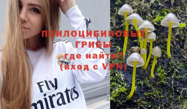 a pvp Михайловск