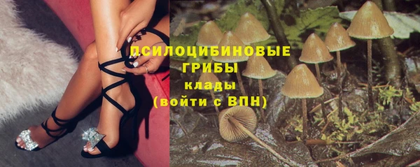a pvp Михайловск