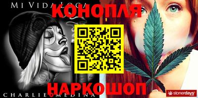 индика Заволжье