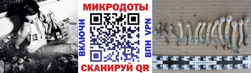 Галлюциногенные грибы MAGIC MUSHROOMS  где купить   Прокопьевск 