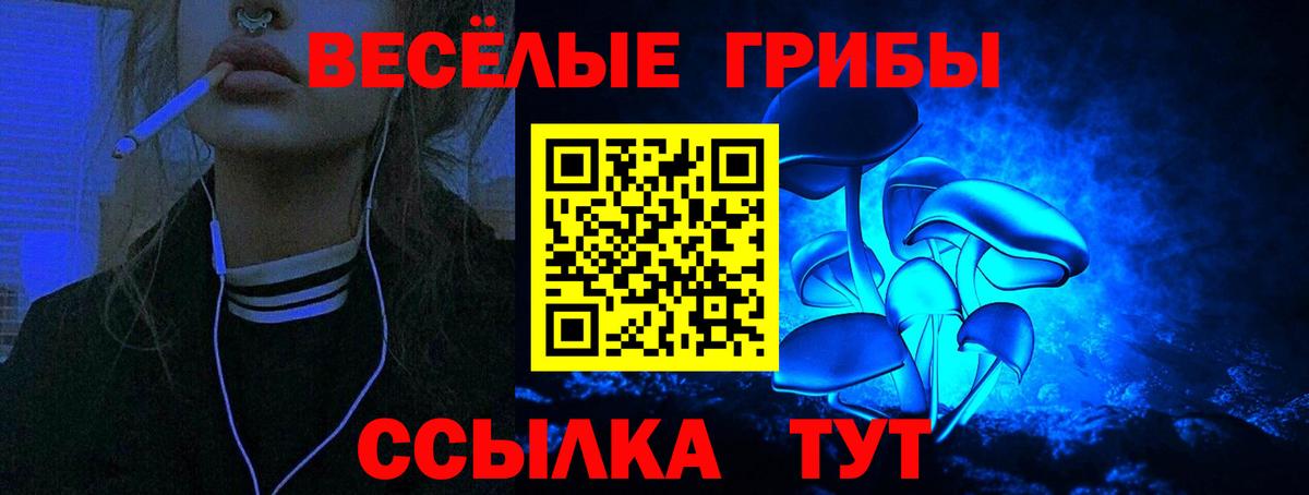 Галлюциногенные грибы Psilocybe Прокопьевск