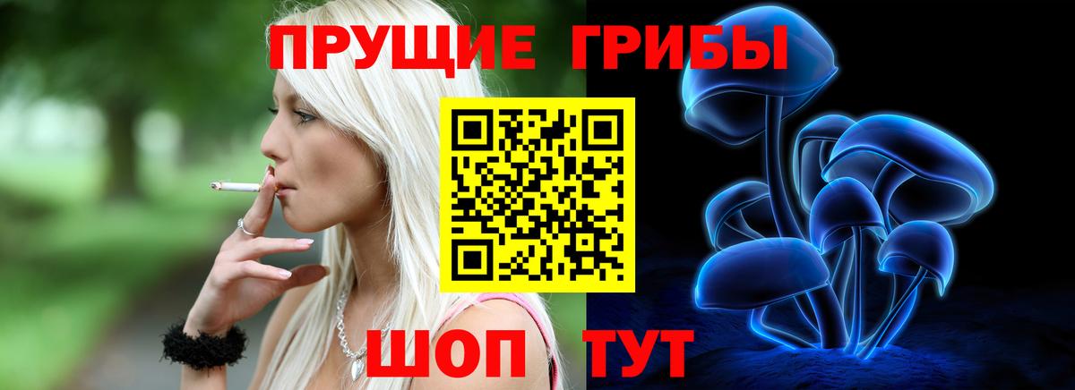купить наркотики сайты  Вход с VPN  Прокопьевск  Галлюциногенные грибы мухоморы  Псилоцибиновые грибы GOLDEN TEACHER 